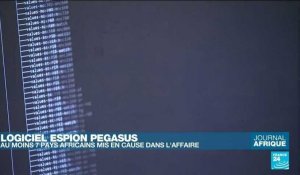 « Projet Pegasus » : le logiciel espion aurait servi à plusieurs pays africains
