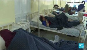 Séisme en Afghanistan : les secouristes s'activent dans des conditions difficiles