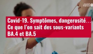 VIDÉO. Covid-19 : symptômes, dangerosité… Ce que l’on sait des sous-variants BA.4 et BA.5