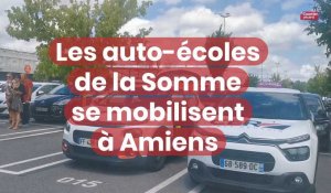 Les auto-écoles de la Somme se mobilisent à Amiens