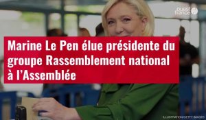 VIDÉO. Marine Le Pen élue présidente du groupe Rassemblement national à l’Assemblée