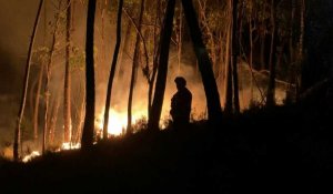 Portugal: des pompiers luttent contre un feu de forêt