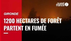 VIDÉO. En Gironde,  près de 1000 hectares de forêt brûlés dans deux incendies en cours