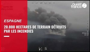 VIDÉO. Plusieurs incendies en Espagne, des centaines d'habitants déplacés
