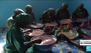 Insécurité alimentaire au Sahel : le Niger face à la difficile période de soudure