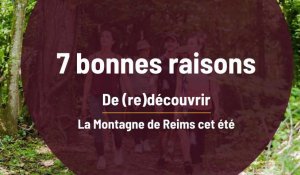 7 bonnes raisons de passer l'été dans la Montagne de Reims