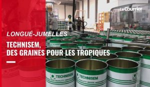 VIDÉO. Maine-et-Loire : Technisem, le semencier qui fait pousser les légumes tropicaux