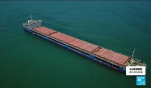 Céréales ukrainiennes: le cargo russe Zhibek Zholy en eaux russes après son passage en Turquie