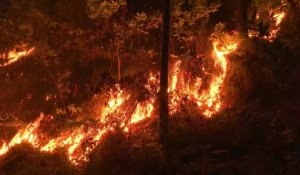 Dans le Gard, un feu ravage des centaines d'hectares de forêt