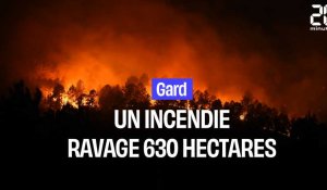 Gard : Un incendie ravage plus de 600 hectares de végétation