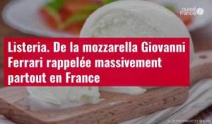 VIDÉO. Listeria : de la mozzarella Giovanni Ferrari rappelée massivement partout en France