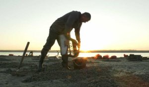 Baie de Somme : La pêche aux coques est ouverte...