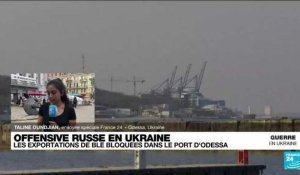 Guerre en Ukraine : les exportations de blé toujours bloquées dans le port d'Odessa