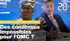Organisation Mondiale du Commerce : Des accords impossibles ?