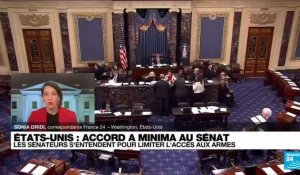 États-Unis : un accord a minima au Sénat pour limiter l'accès aux armes à feu