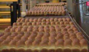 Numéro 1 sur le marché du biscuit, l'usine Mondelez de Toulouse fête ses 70 ans