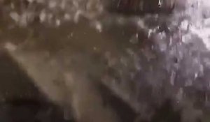 Vidéo inédite inondations
