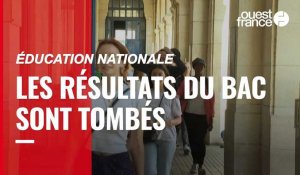 VIDÉO. Bac : les résultats sont tombés dans la matinée