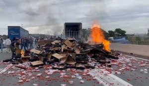 Barrage viticole au Boulou (Pyrénées-Orientales), les manifestants incendient des tas de cagettes de tomates
