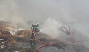 VIDÉO. Un hangar de 800m² part en fumée : 12 personnes évacuées dans le Calvados