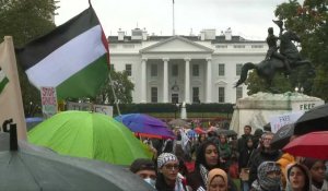 Manifestation en soutien aux Palestiniens sous la pluie devant la Maison Blanche