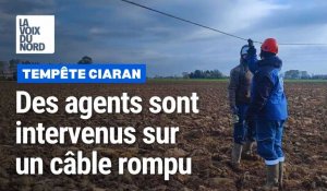 Tempête Ciaran : intervention d'Enedis sur un câble rompu à Vieux-Berquin 