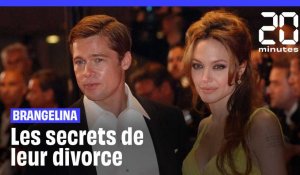 Brangelina - Les secrets de leur divorce