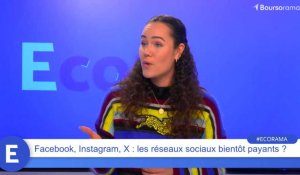 Facebook, Instagram, X : les réseaux sociaux bientôt payants ?