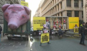 "Fermes-usines": Greenpeace déverse du lisier devant le ministère de l'Agriculture