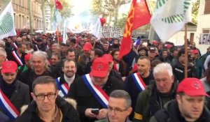 Crise viticole : les manifestants défilent dans les rues de Narbonne pour exprimer leur colère