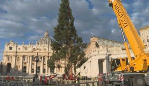 Le Vatican installe son traditionnel sapin de Noël