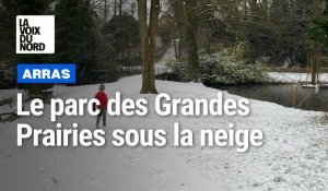Arras : le parc des Grandes Prairies sous la neige ce mercredi
