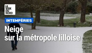 Neige sur la métropole