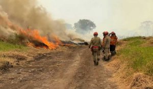 Brésil: des incendies dans la plus grande zone humide de la planète