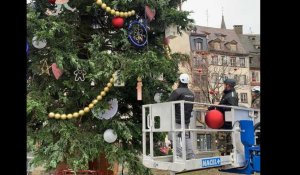 Tous les secrets sur la décoration du grand sapin de Noël 2023 à Strasbourg 