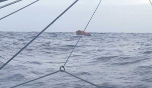 VIDÉO Transat Jacques Vabre. Quand Sébastien Simon (Groupe Dubreuil) croise un canot de survie en pleine mer…