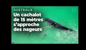 Cette baleine s'est approchée très près de la plage en Australie