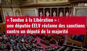 VIDÉO. « Tondue à la Libération » : une députée EELV réclame des sanctions contre un député 