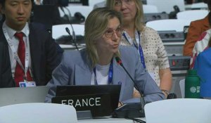 COP28: Agnès Pannier-Runacher salue "une victoire du multilatéralisme"