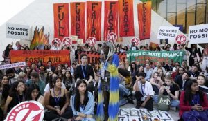 COP28 : près de 200 pays s'accordent sur une "transition hors des énergies fossiles"