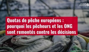 VIDÉO. Quotas de pêche européens : les pêcheurs et les ONG remontés contre les décisions