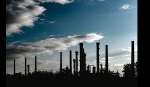 Accord de la COP28 : comment sortir du pétrole ?