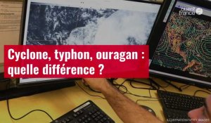 VIDÉO. Cyclone, typhon, ouragan : quelle différence ?