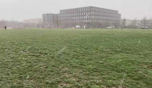 Lille : il neige et les Bois-Blancs prennent un coup de blanc