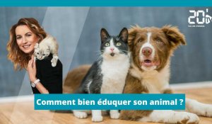 Comment bien éduquer un animal ?