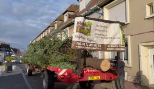 Le très attendu sapin de Noël est désormais installé place de l'Eglise au Portel.