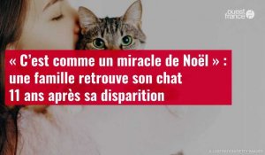 VIDÉO. « C’est comme un miracle de Noël » : une famille retrouve son chat 11 ans après sa disparitio