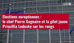 VIDÉO. Elections européennes : le chef Pierre Gagnaire et la gilet jaune Priscillia Ludosky