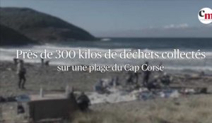 Près de 300 kilos de déchets collectés sur une plage du Cap Corse
