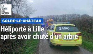 Un homme héliporté à Lille après une chute d’un arbre à Solre-le-Château 